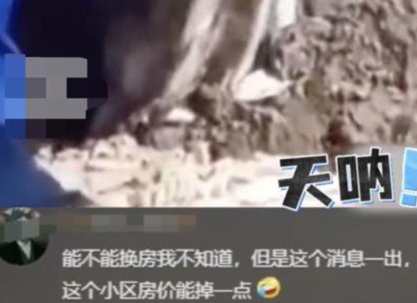 微信图片_20250630155929.png